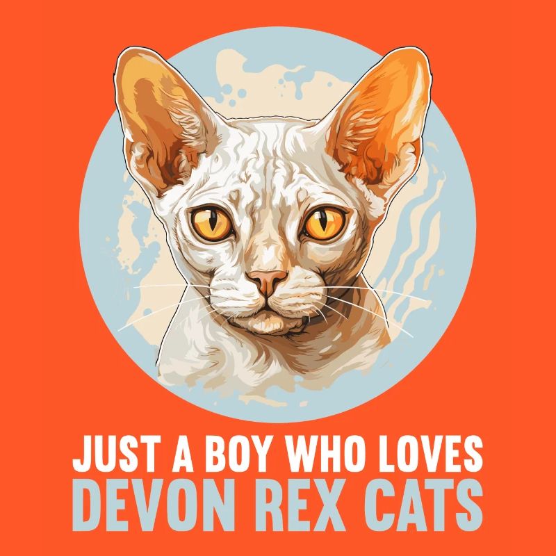 Devon Rex Kätzchen Devon Rex Katze