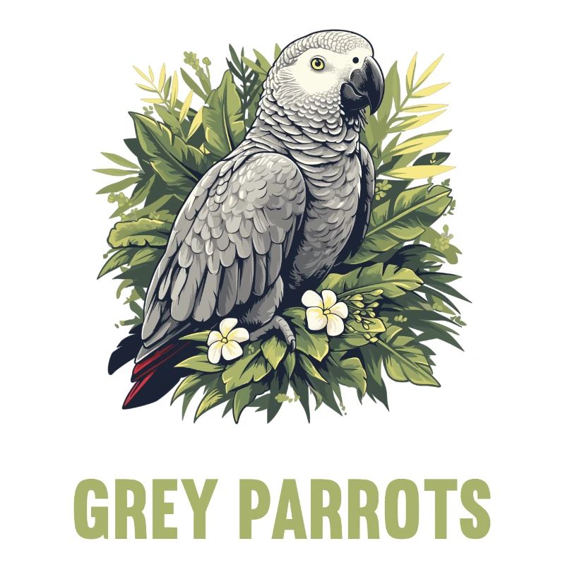Perroquets gris d’Afrique