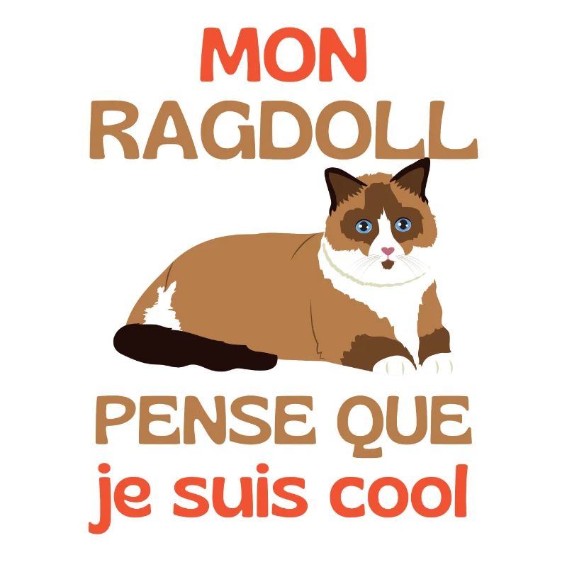 Chat mignon Ragdoll