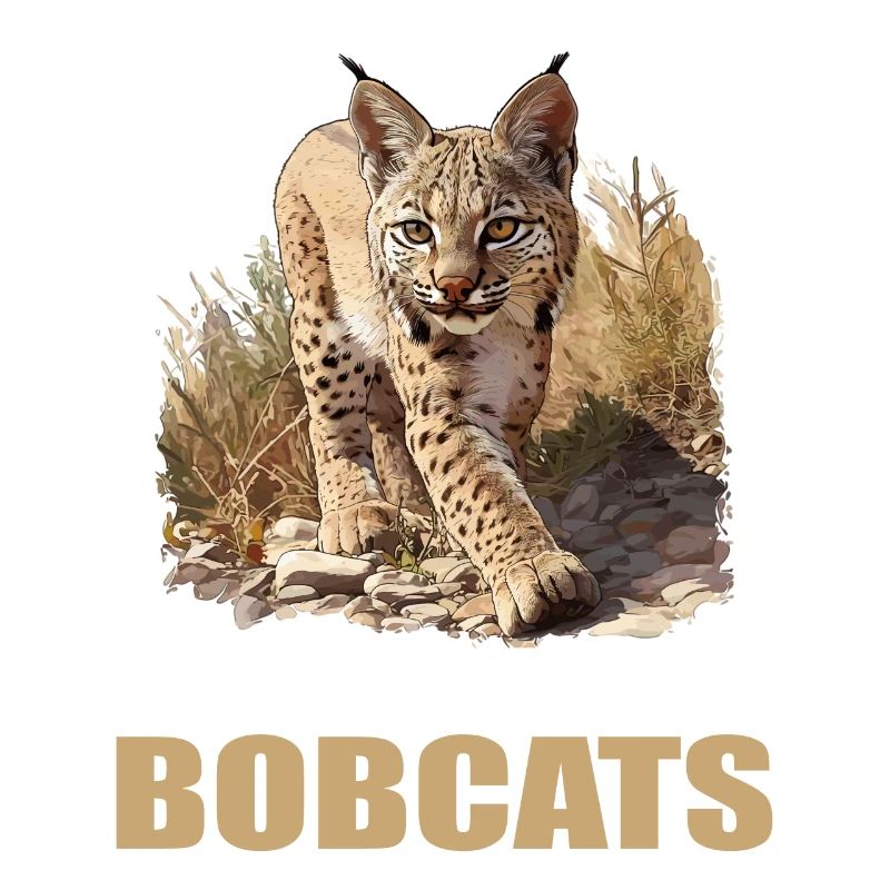 Bobcats Rotluchse Rotluchs Luchs