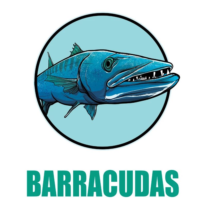Barracudas Barracuda