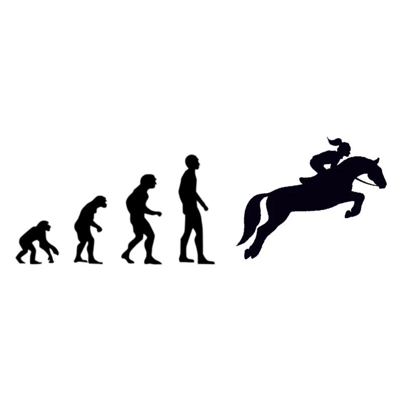 Evolution - Reiterin