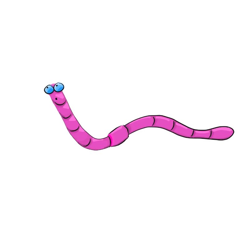Wurmi the worm