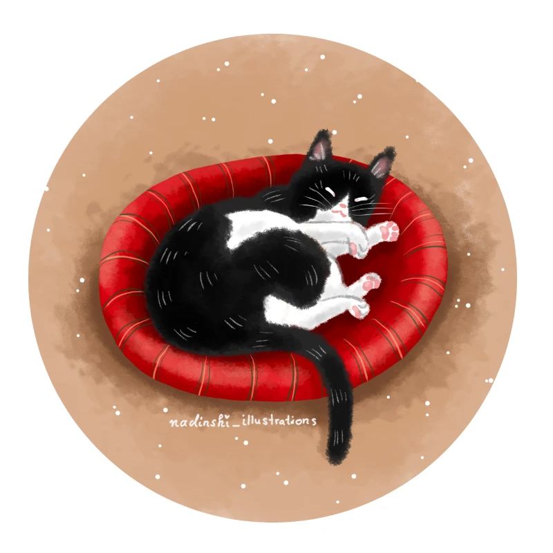 Chat dans le panier