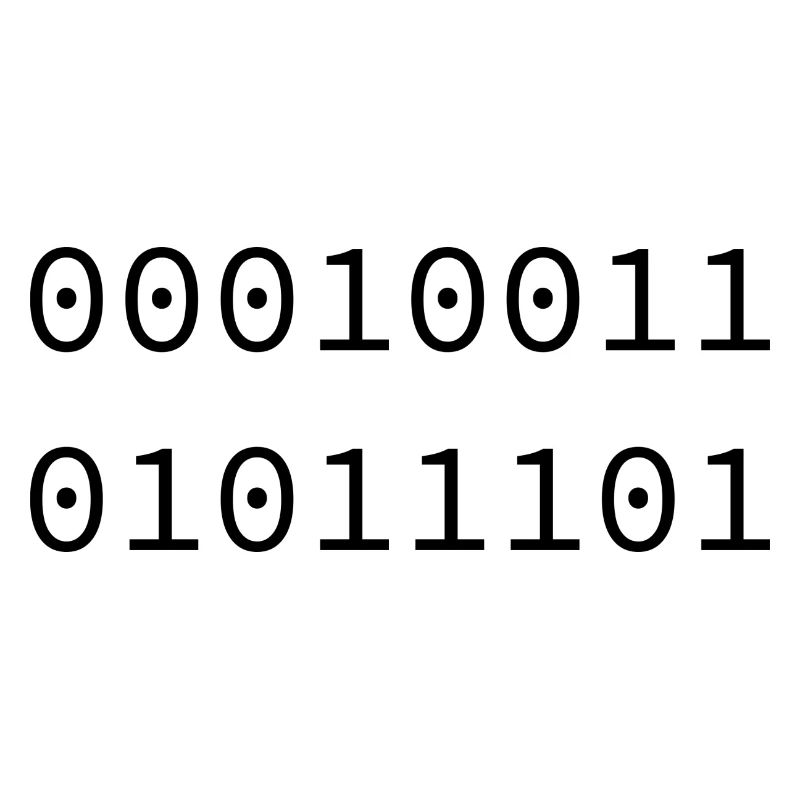 1993 Binary