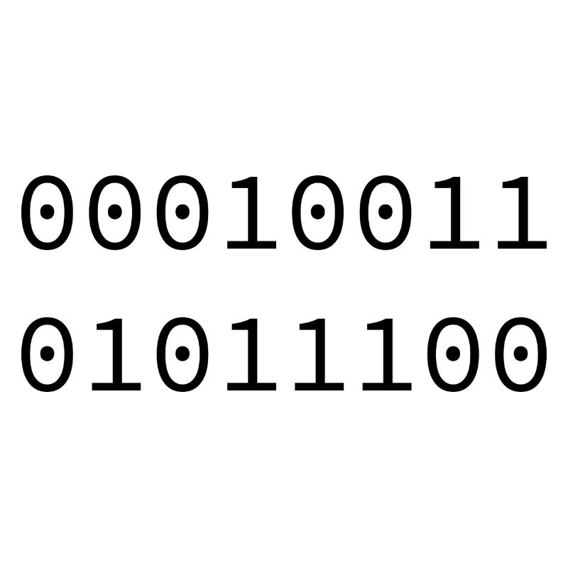 1992 Binary