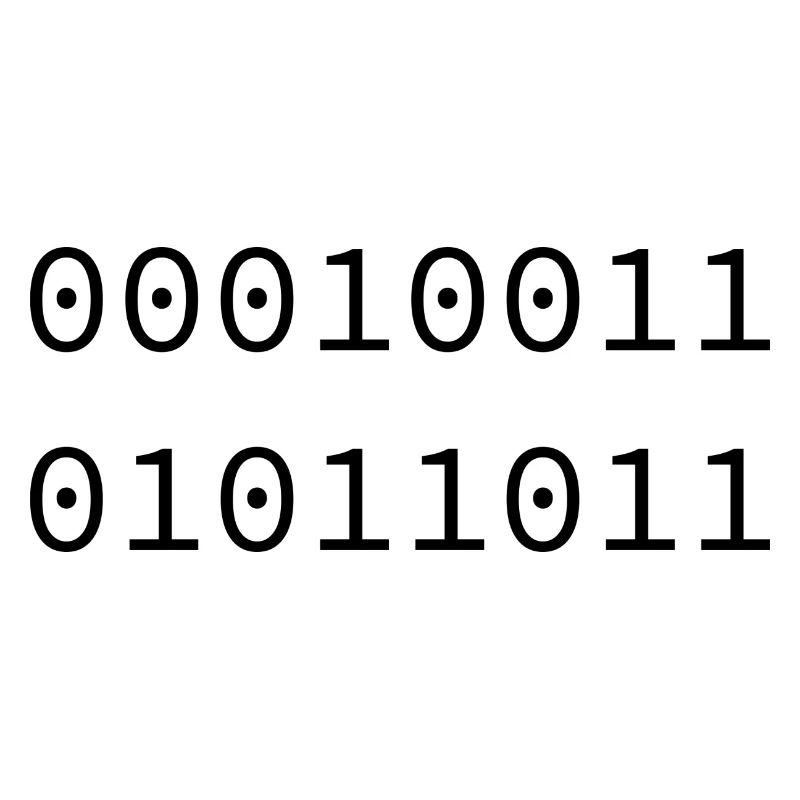 1991 Binary
