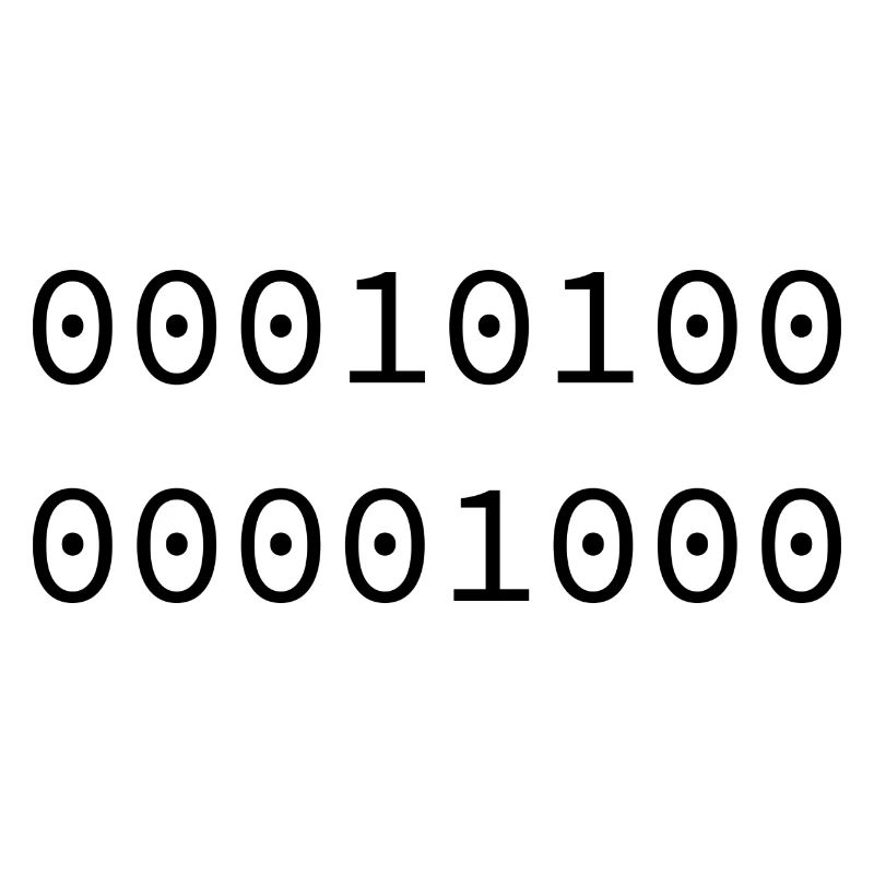 2008 Binary