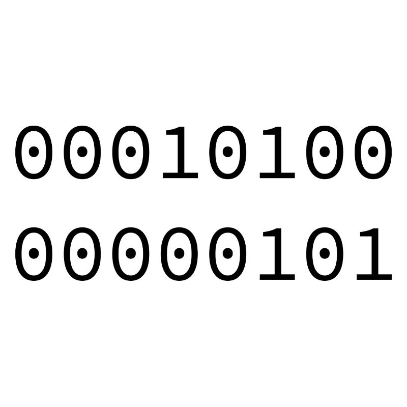 2005 Binary