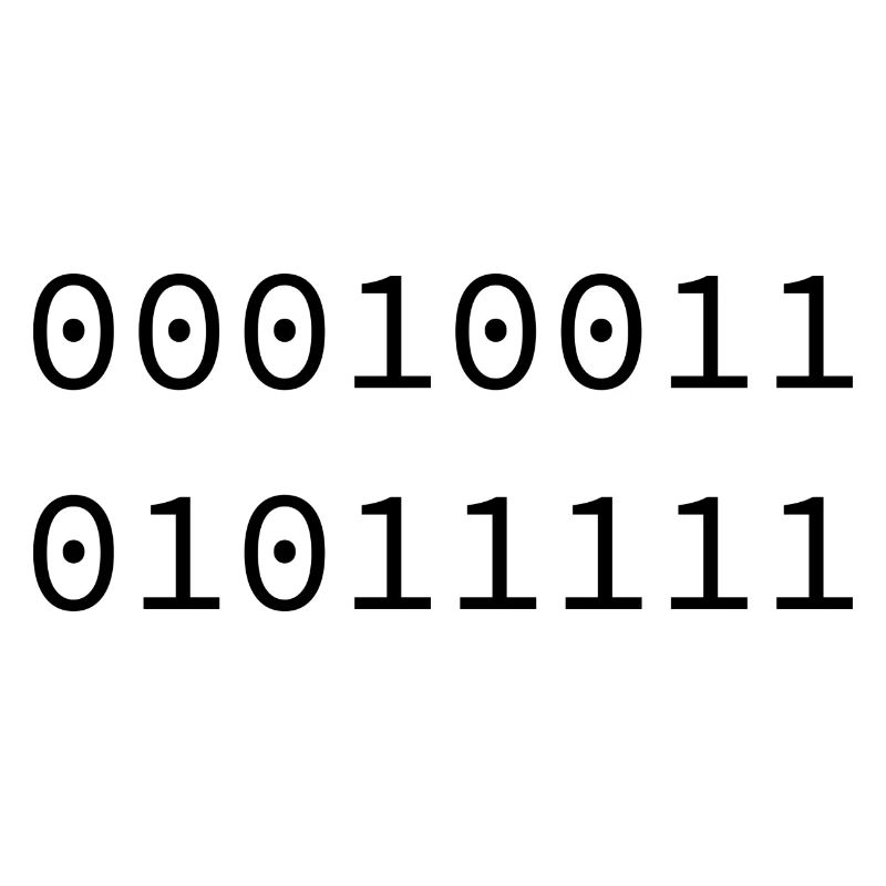 1995 Binary