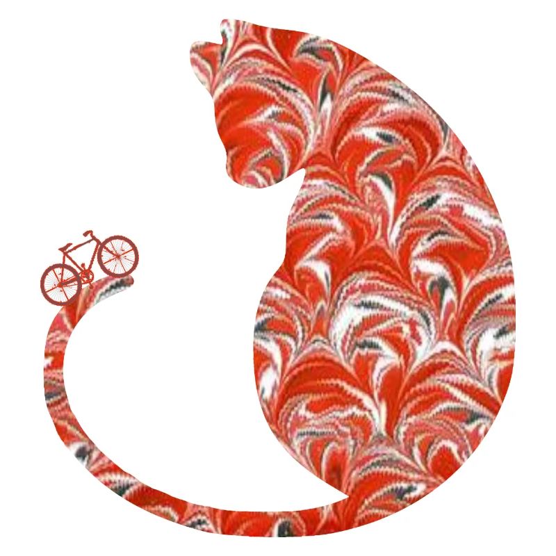chat à vélo e 231