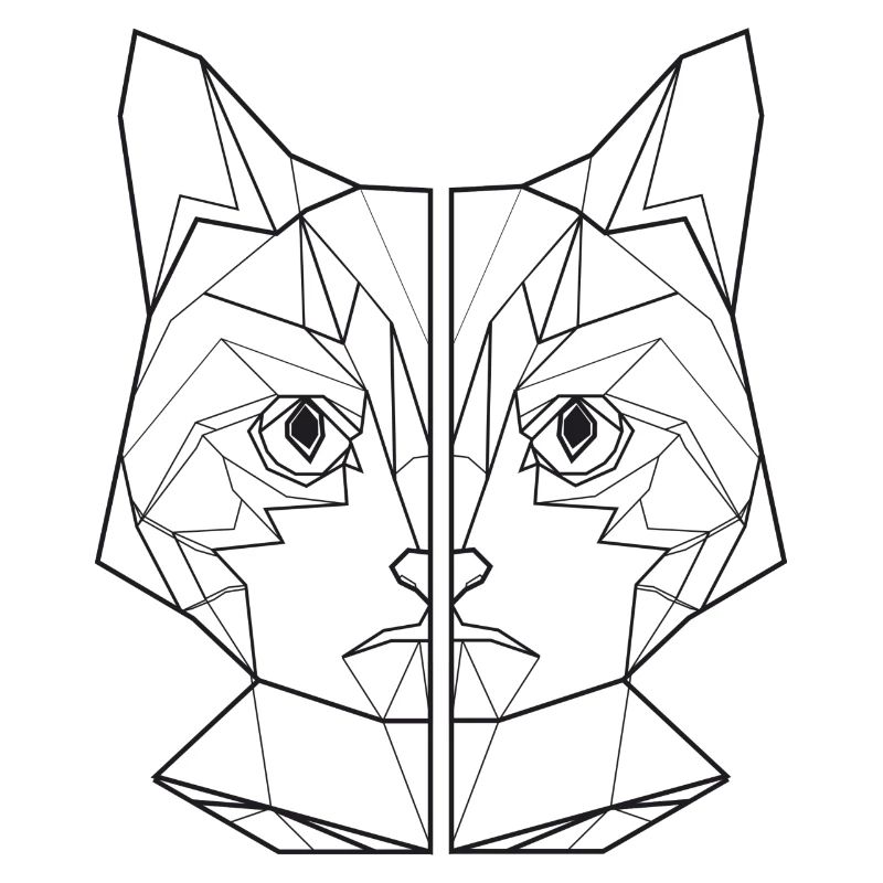 ami de chat, amant de chat, chemise de chat