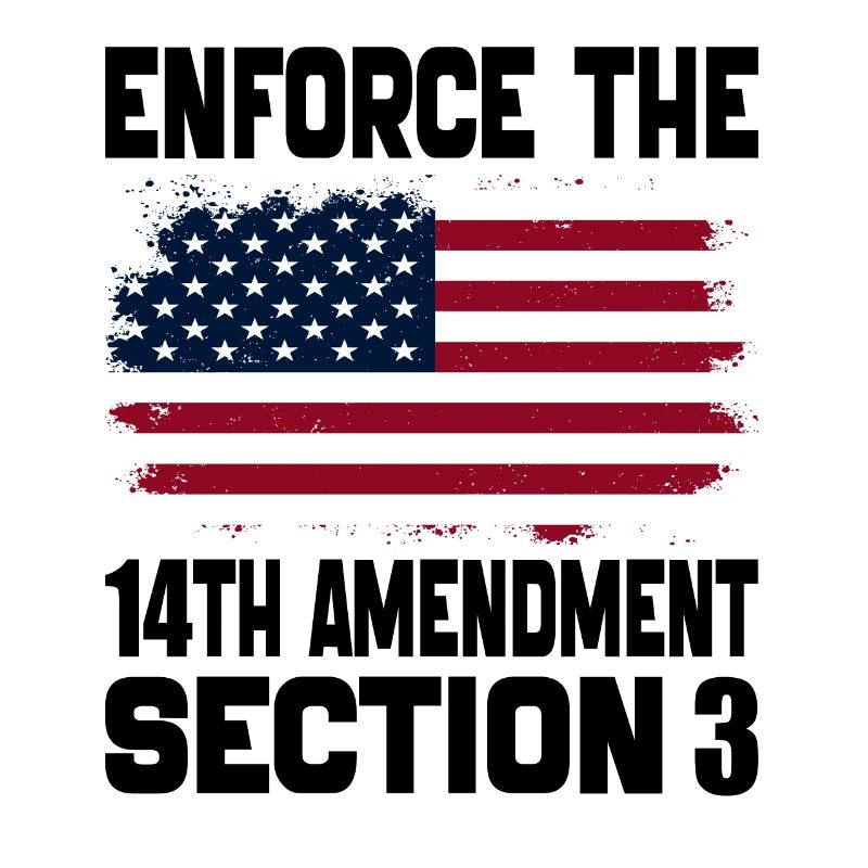 Enforce The 14TH Amendment Section 3