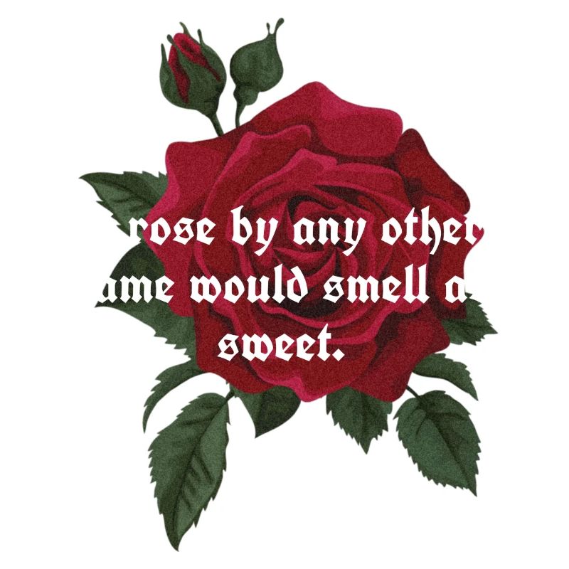 FD600AE1 0505 44FF 8C75 0B9A543CADA6