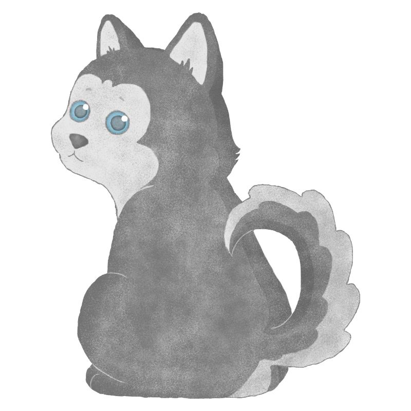 Chiot Husky
