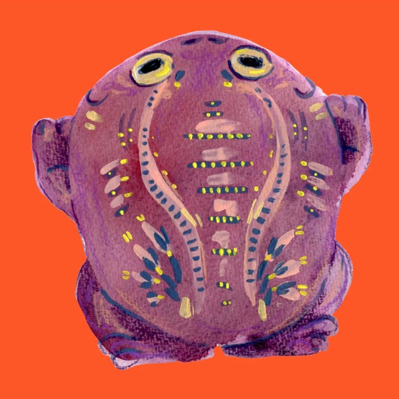 Crapaud violet