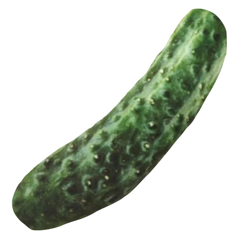 Cornichon