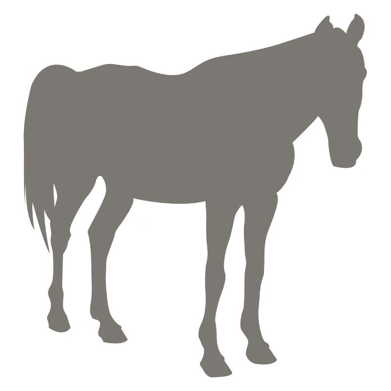 horse