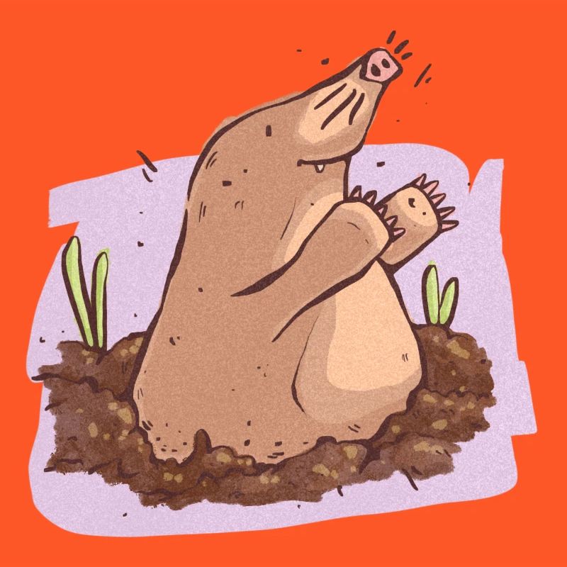 Mole in der Erde