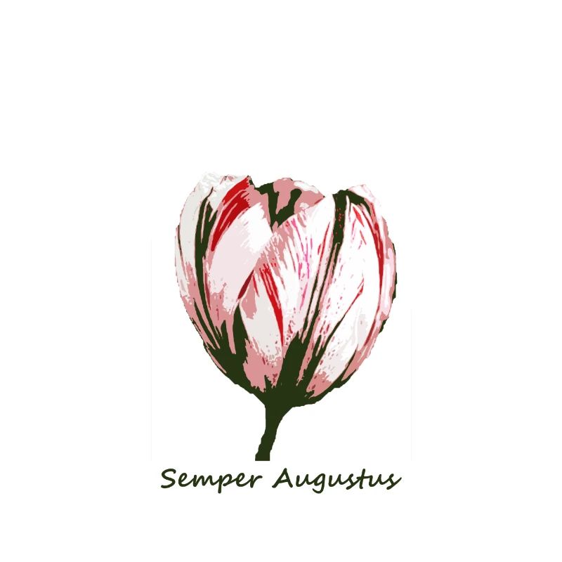 Semper Augustus