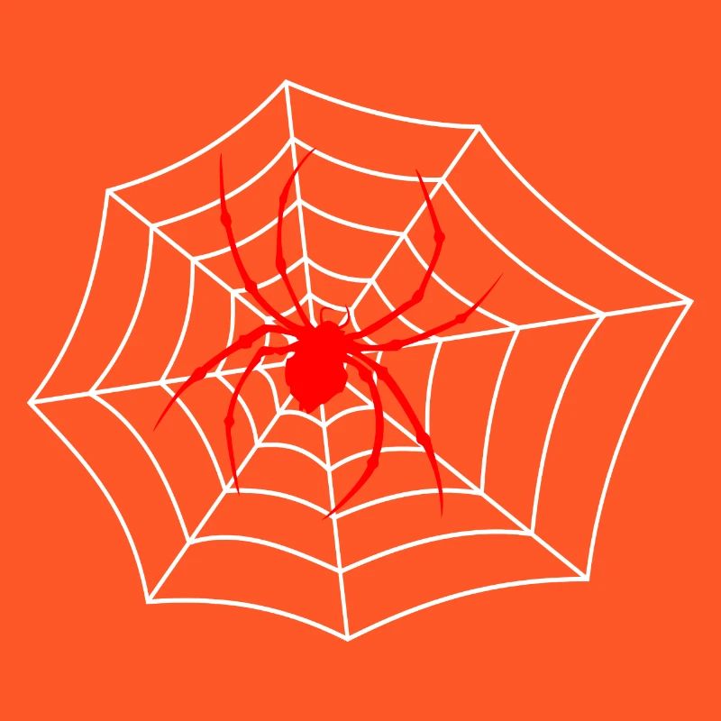 Araignée sur le web