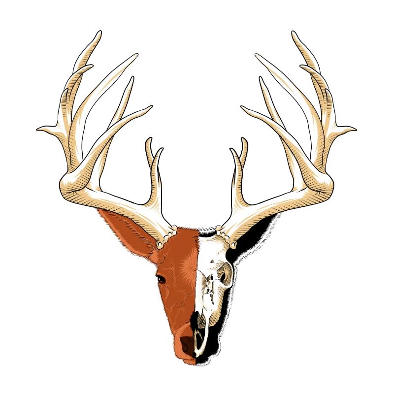 Deer head with skull fade