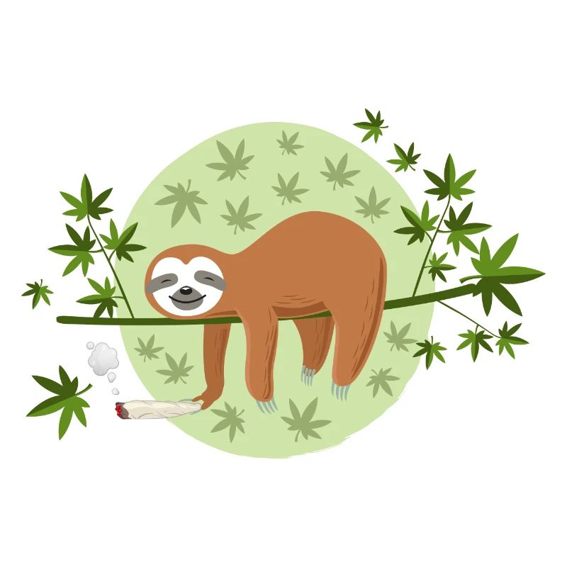 The marijuana sloth
