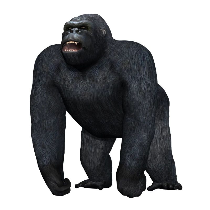 Gorilla in threatening pose