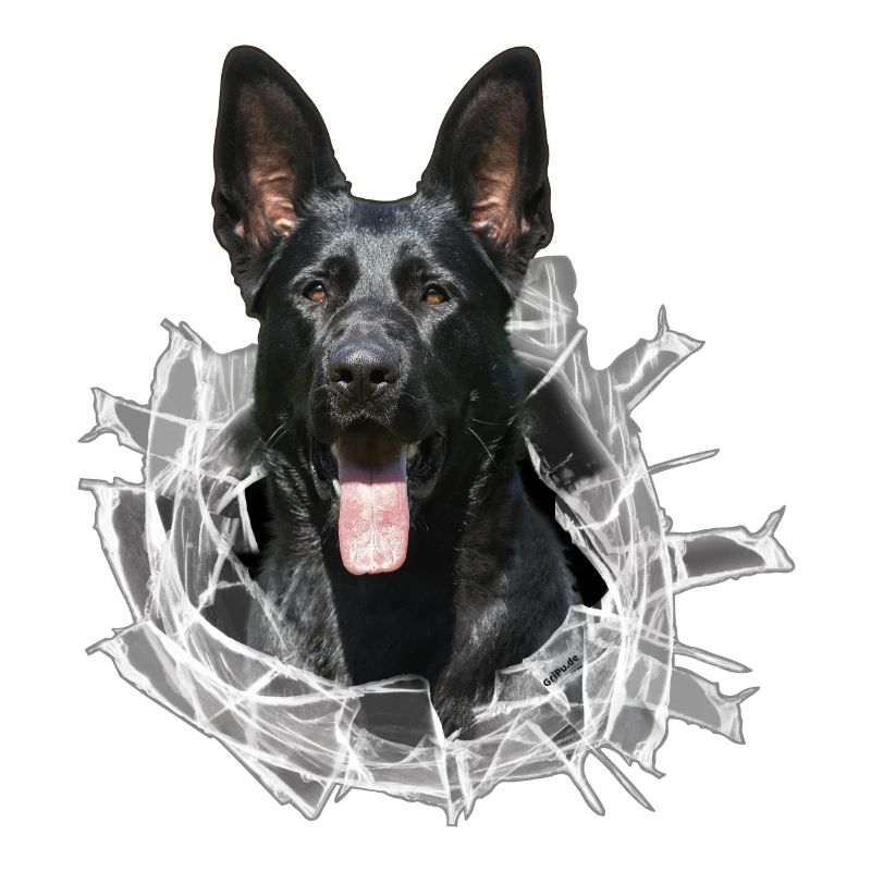 Schwarzer Schäferhund im Glas Loch