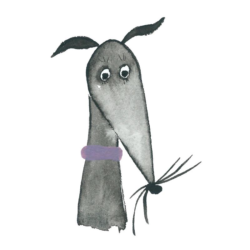 Greyhound black