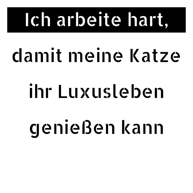 katze - Luxusleben einer Katze