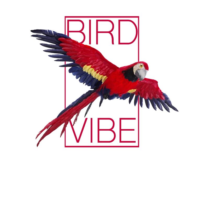 Perroquet rouge - OISEAU VIBE