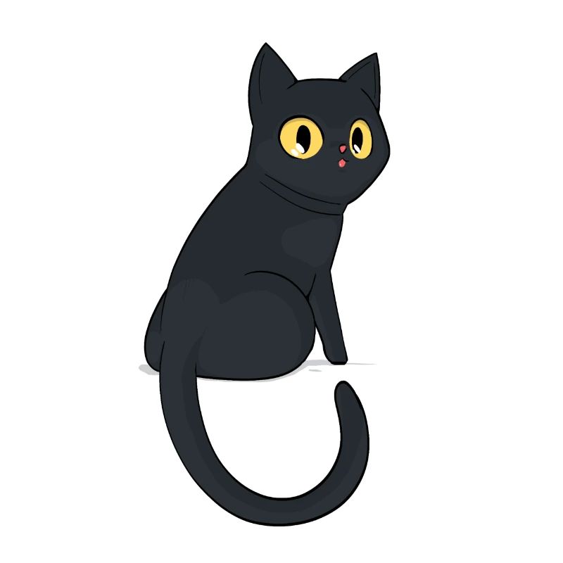 Black Cat