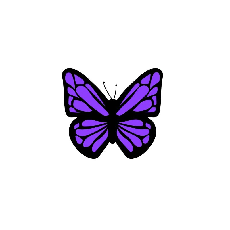 papillon violet
