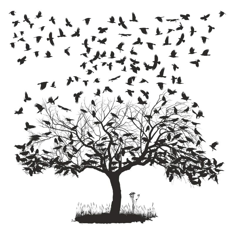 Crows in a tree