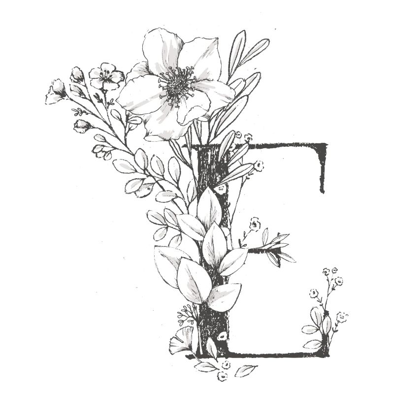 Lettre e