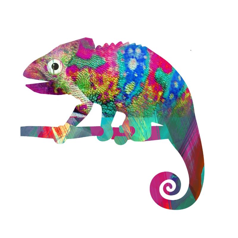 Caméléon, graffiti, camelion, coloré, illustration,