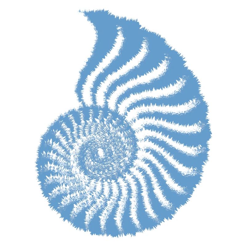 Nautilus (Fuzzy Blue Edition)