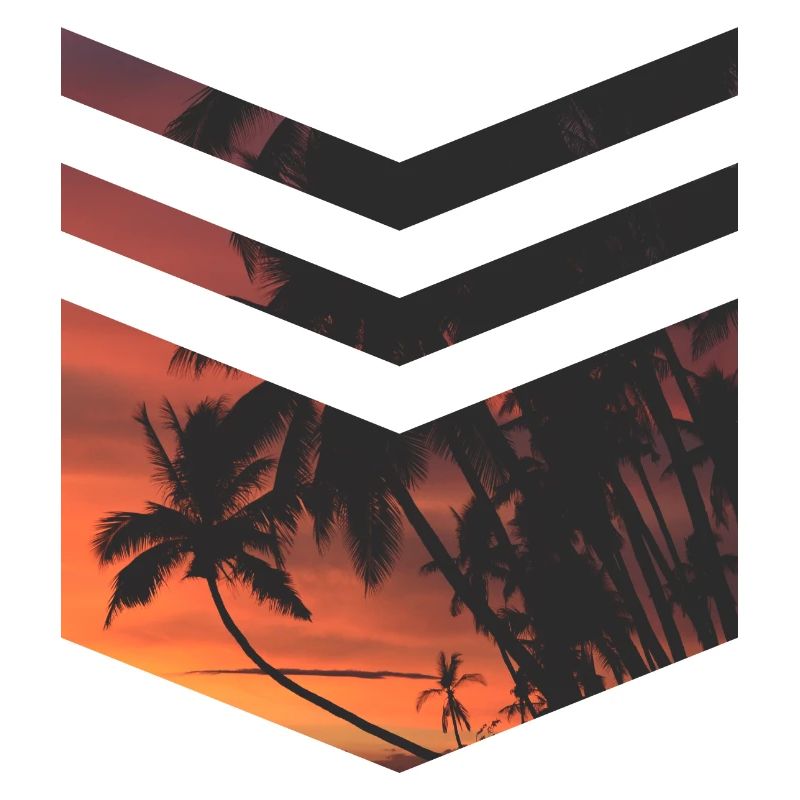 Triangle de Palm Beach