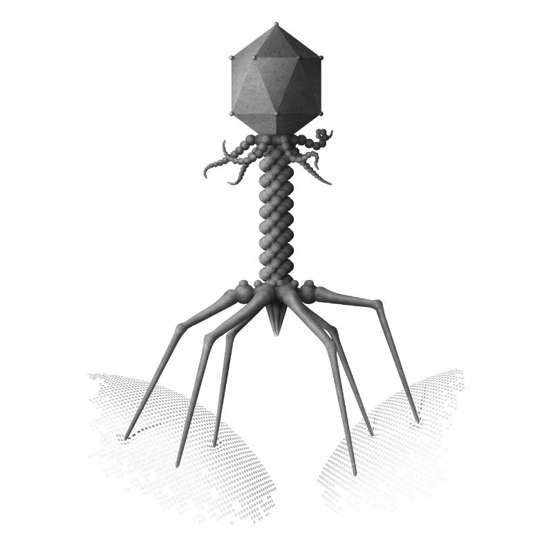 Phage