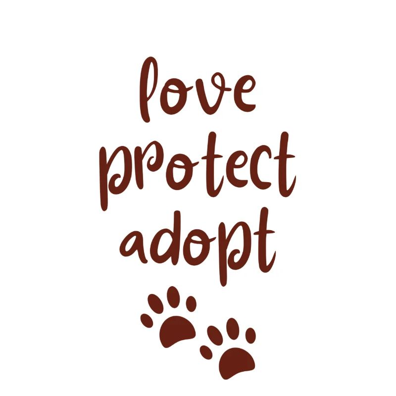 aimer, protéger, adopter - aimer les animaux / animaux de compagnie