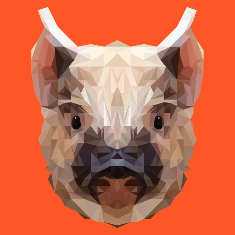 Polygone cochon