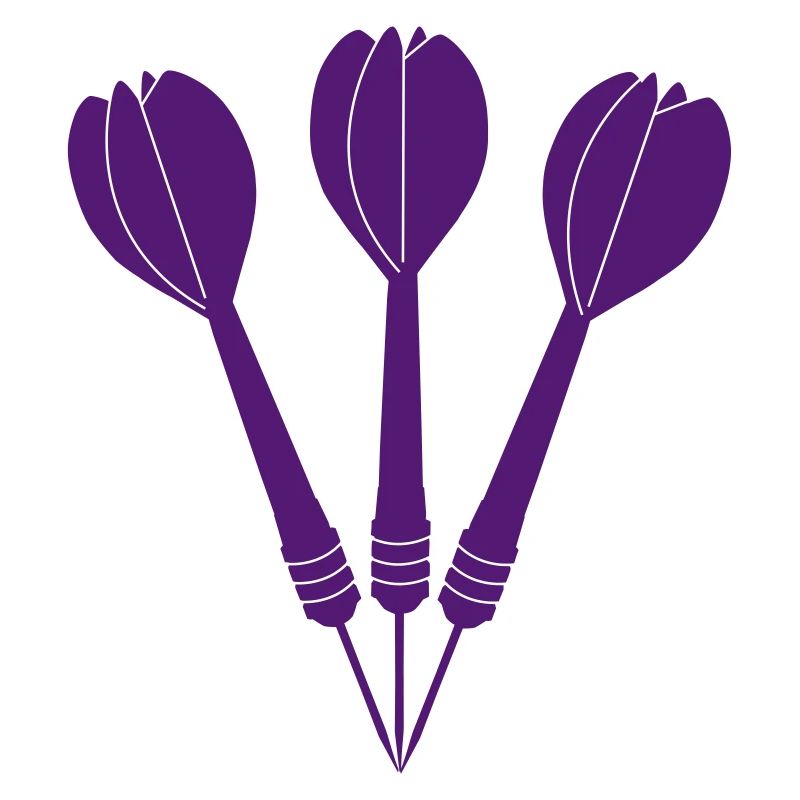 Flèches de fléchettes