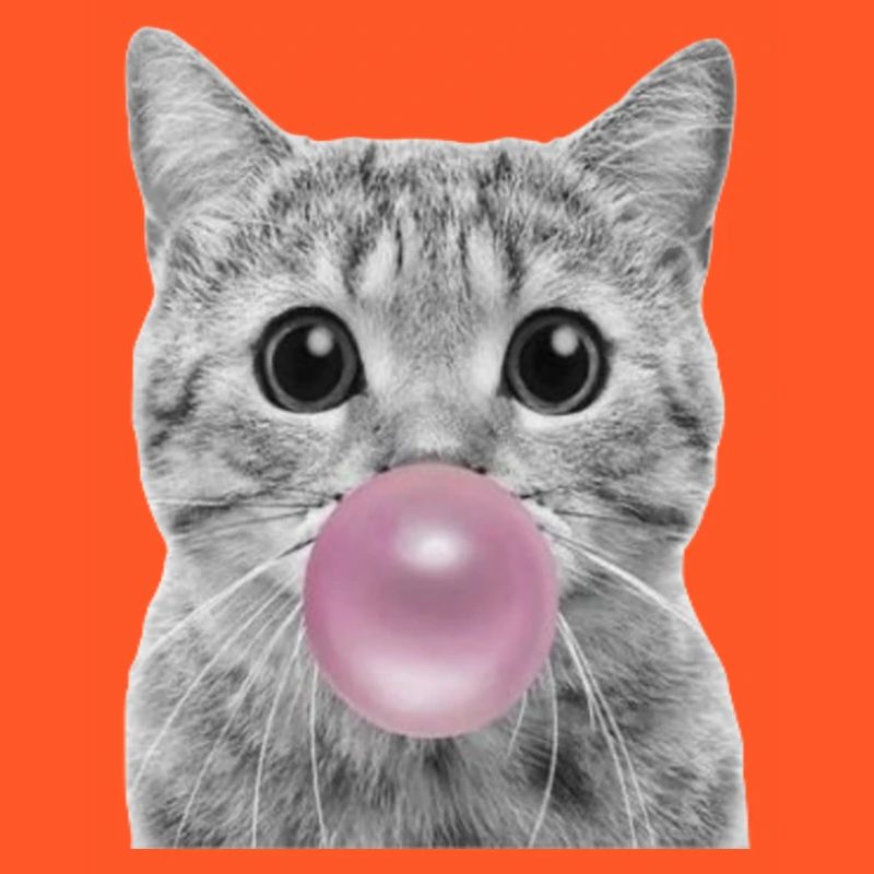Bubble Katze