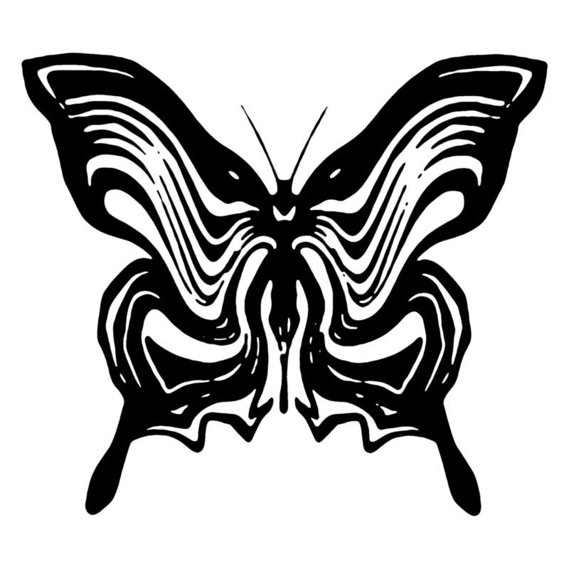 papillon