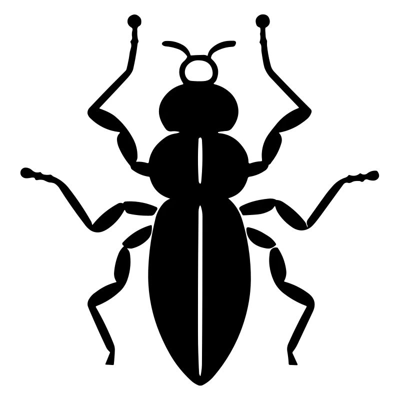 Flea insect