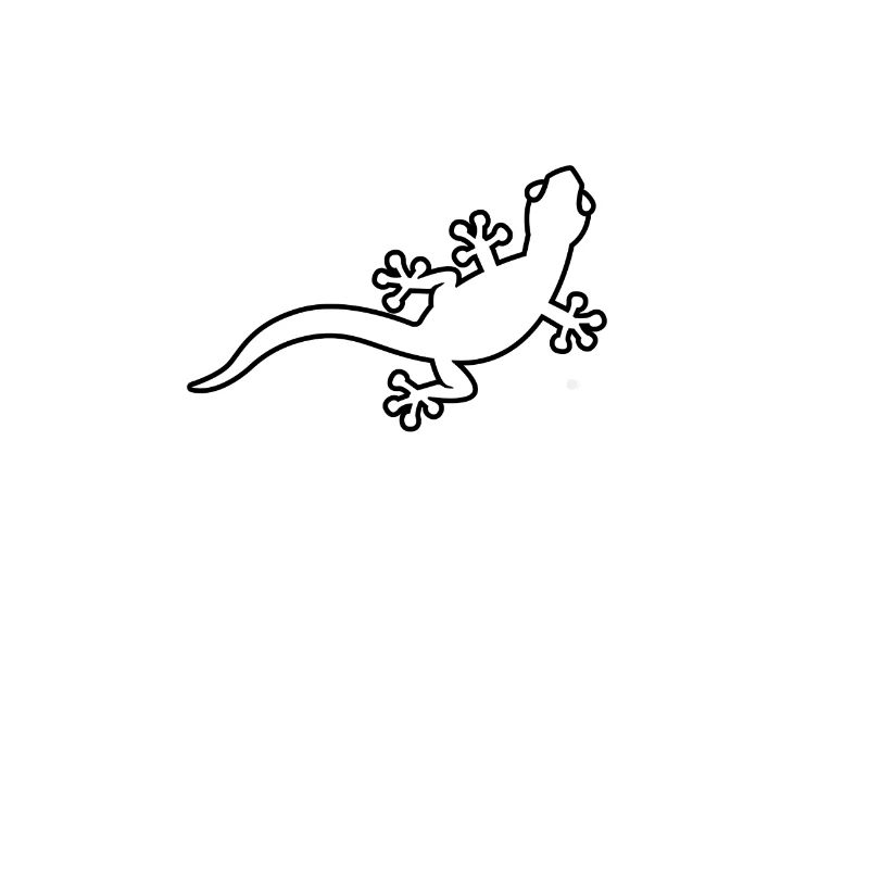 lézard