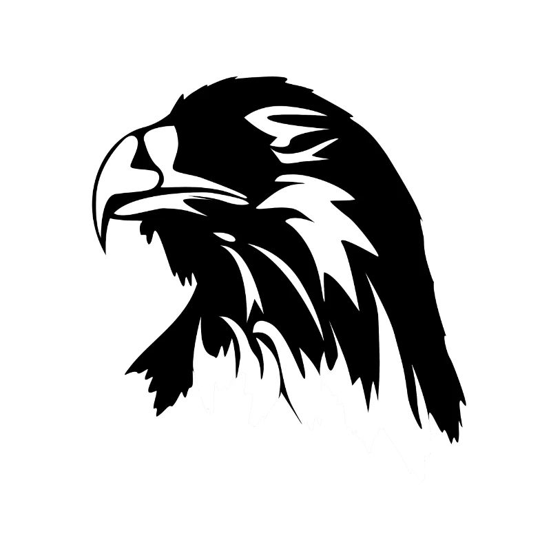 Eagle head eagle