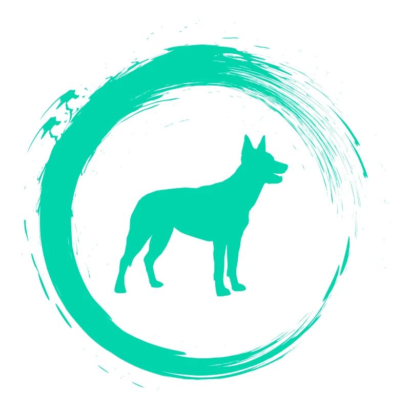 Australian Kelpie