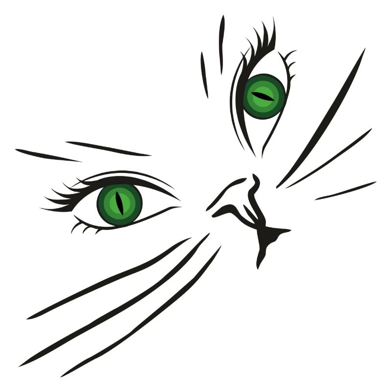 Chat visage Visage de chat